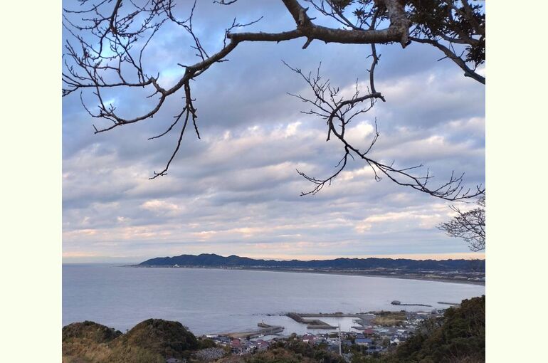 館山湾